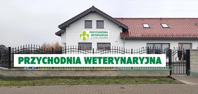 Biegaławet Przychodnia Weterynaryjna, specjalista chirurgii i chorób psów i kotów